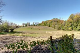 3035 Lake Sarah Rd, Maple Plain, MN 55359 - Photo 67