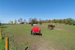 3035 Lake Sarah Rd, Maple Plain, MN 55359 - Photo 63