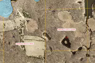 28387 Candor Hall Rd, Vergas, MN 56587 - Photo 1