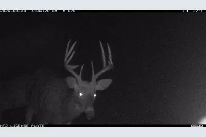 Tbd N State Road 40, Exeland, WI 54835 - Photo 39