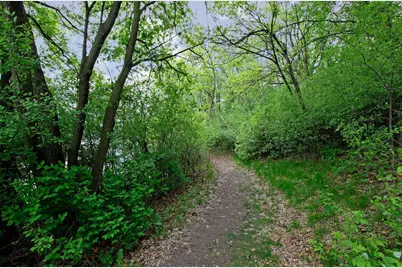 1330 Interlachen Drive, Eagan, MN 55123 - Photo 51