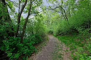 1330 Interlachen Dr, Eagan, MN 55123 - Photo 51