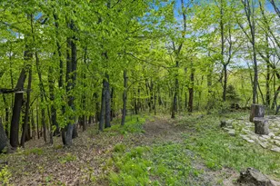 1720 Retreat Cir, Mound, MN 55364 - Photo 49