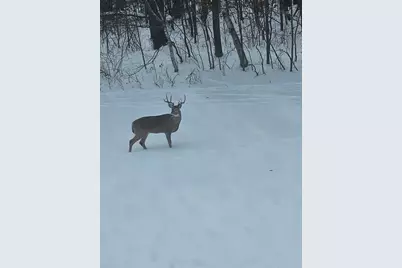 3524 385th Avenue NW, Stanchfield, MN 55080 - Photo 49