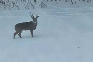 3524 385th Ave NW, Stanchfield, MN 55080 - Photo 49