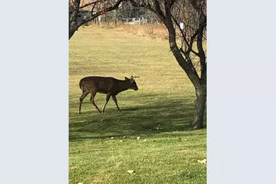 2429 Viola Heights Drive NE, Rochester, MN 55906 - Photo 33