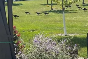 2429 Viola Heights Dr NE, Rochester, MN 55906 - Photo 31