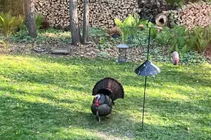 11020 181st St W, Lakeville, MN 55044 - Photo 23