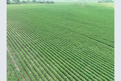 000 45th Street NE, Benson, MN 56215 - Photo 1