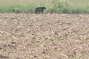 30205 190th Ln, Isle, MN 56342 - Photo 53