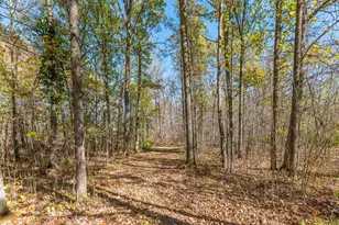 30205 190th Ln, Isle, MN 56342 - Photo 61