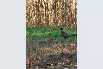 30205 190th Lane, Isle, MN 56342 - Photo 55