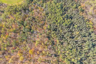 30205 190th Ln, Isle, MN 56342 - Photo 81