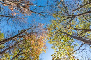 30205 190th Ln, Isle, MN 56342 - Photo 113