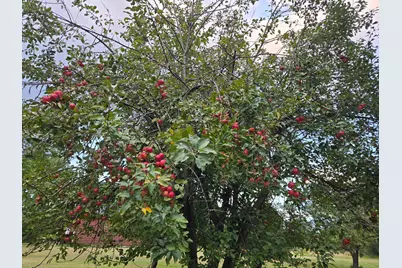 30205 190th Lane, Isle, MN 56342 - Photo 59