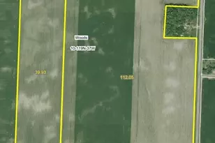 000 150th Ave NE, Kerkhoven, MN 56252 - Photo 1