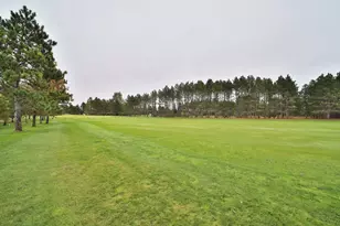 12075 Blueberry Loop, Menahga, MN 56464 - Photo 55