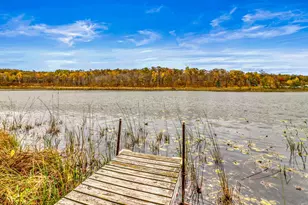 33836 Loon Dr, Ogema, MN 56569 - Photo 45