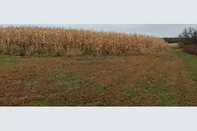 33100 Saint Olaf Way, Battle Lake, MN 56515 - Photo 33