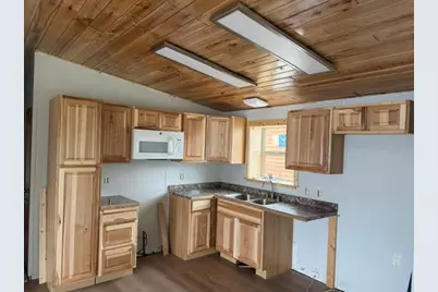 33100 Saint Olaf Way, Battle Lake, MN 56515 - Photo 5