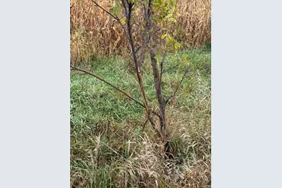 4616 Groves End Lane SE, Rochester, MN 55904 - Photo 35