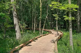 6633 Wolfberry Curv, Minnetrista, MN 55331 - Photo 39