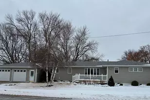 313 3rd Ave N, Emmons, MN 56029 - Photo 3