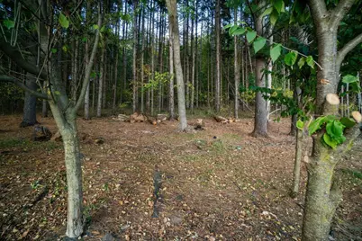 328 Nordveien Drive, Boyceville, WI 54725 - Photo 45