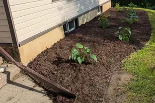 2309 Buchanan St NE, Minneapolis, MN 55418 - Photo 13