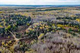 2446 NE Grade Rd, Fairbanks, MN 55602 - Photo 43