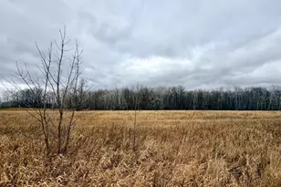 Xx Pole Rd, Grasston, MN 55030 - Photo 1