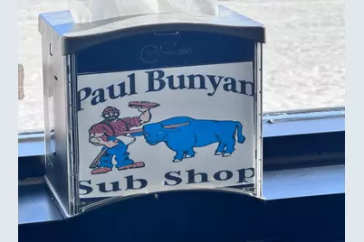119 2nd Street NW, Bemidji, MN 56601 - Photo 11