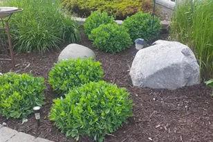 696 Buttercup Ct, Hudson, WI 54016 - Photo 39