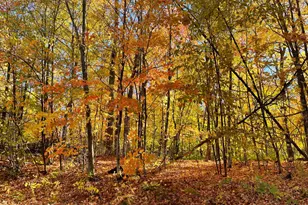 18458 327th Ave, Isle, MN 56342 - Photo 27