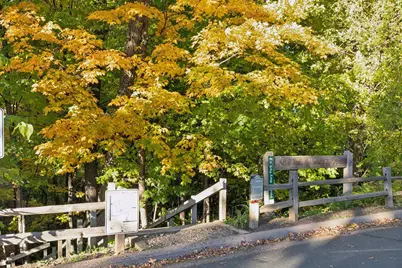 8010 60 1/2 Avenue N, New Hope, MN 55428 - Photo 49