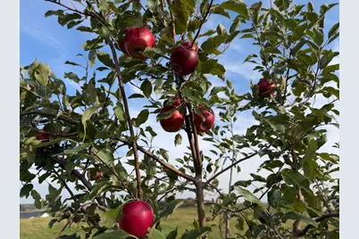 920 Amelia Court NE, Montgomery, MN 56069 - Photo 17