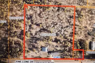 37263 Pine Cone Dr, Menahga, MN 56464 - Photo 53