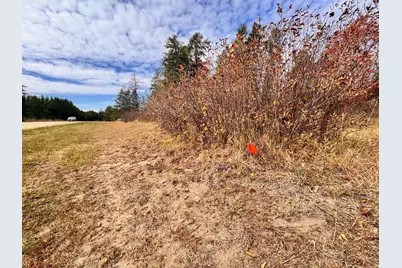 37263 Pine Cone Drive, Menahga, MN 56464 - Photo 51