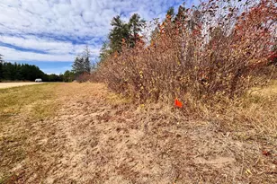 37263 Pine Cone Dr, Menahga, MN 56464 - Photo 51