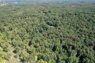 Tbd 485th St, Vergas, MN 56587 - Photo 1