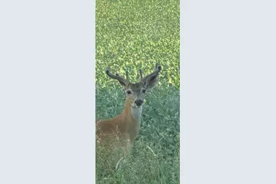 14343 Fawn Court, Northfield, MN 55057 - Photo 55