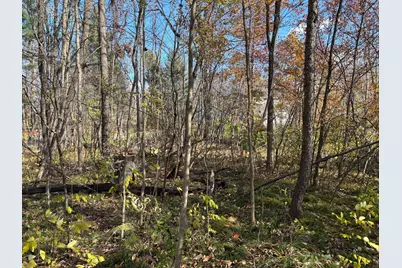 28104 Wilderness Retreat, Chengwatana Twp, MN 55063 - Photo 29