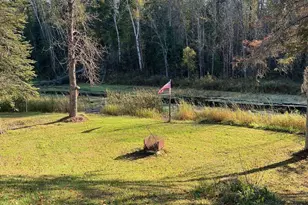 46020 Third River Dr, Deer River, MN 56636 - Photo 9