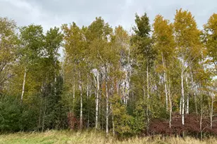 8764 140th St, Milaca, MN 56353 - Photo 17