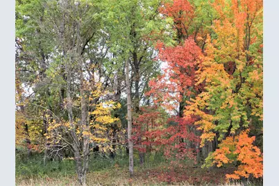 Parcel 1 90th Street, Frederic, WI 54837 - Photo 1