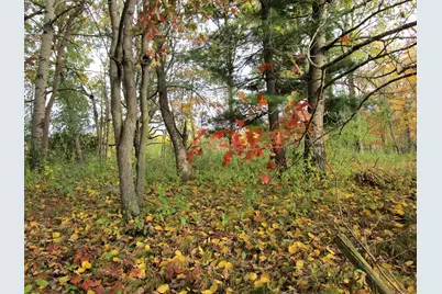 Parcel 2 90th Street, Frederic, WI 54837 - Photo 5