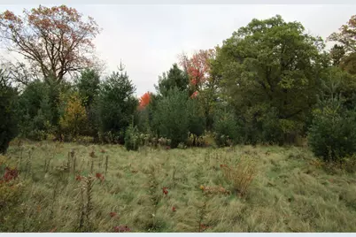 Parcel 2 90th Street, Frederic, WI 54837 - Photo 3