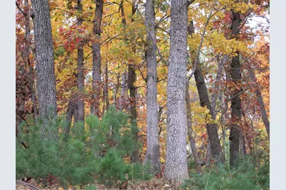 Parcel 2 90th Street, Frederic, WI 54837 - Photo 7