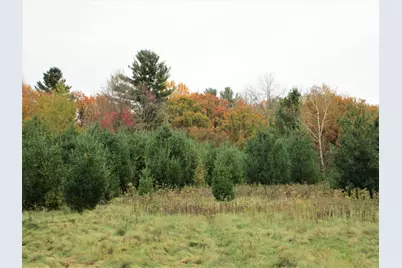 Parcel 2 90th Street, Frederic, WI 54837 - Photo 1