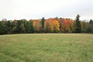 Parcel 5 340th Ave, Frederic, WI 54837 - Photo 1